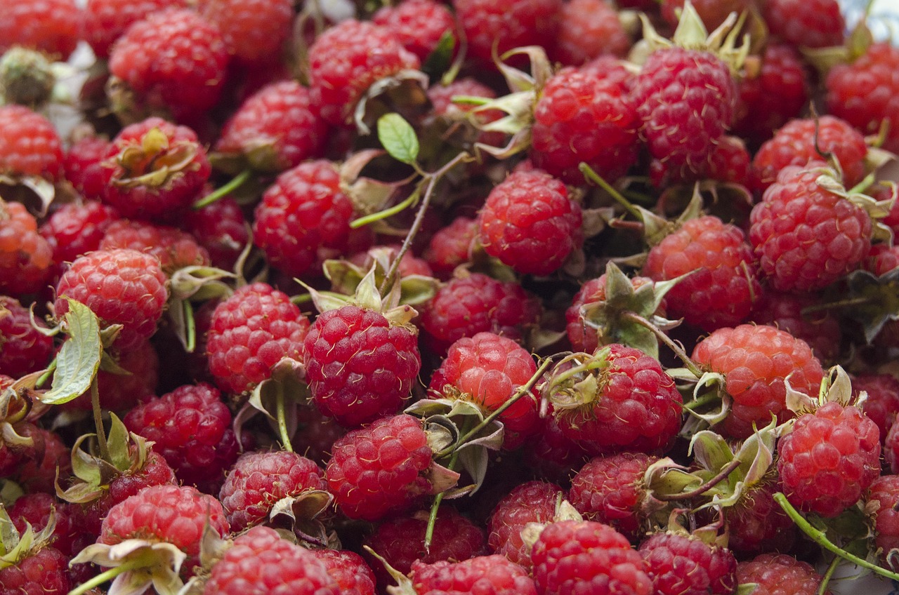 Malina: kwas elagowy chroniący skórę i błonnik